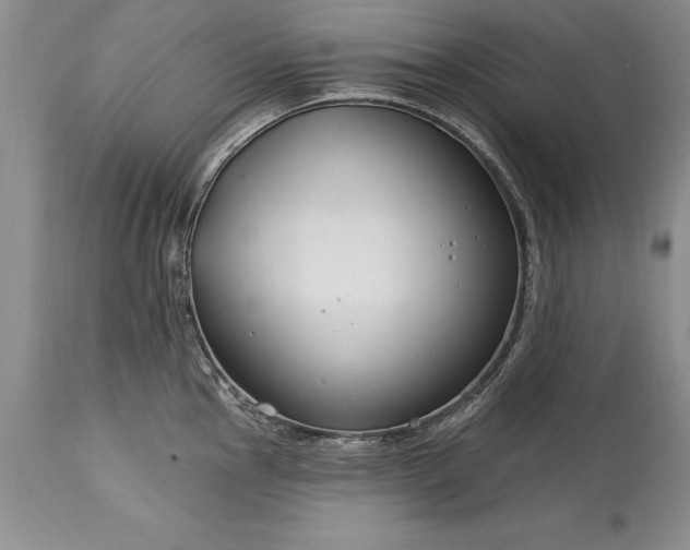 X0000113581145200910021646