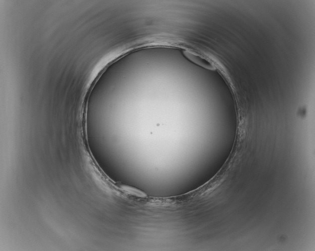 X0000113581146200910021646