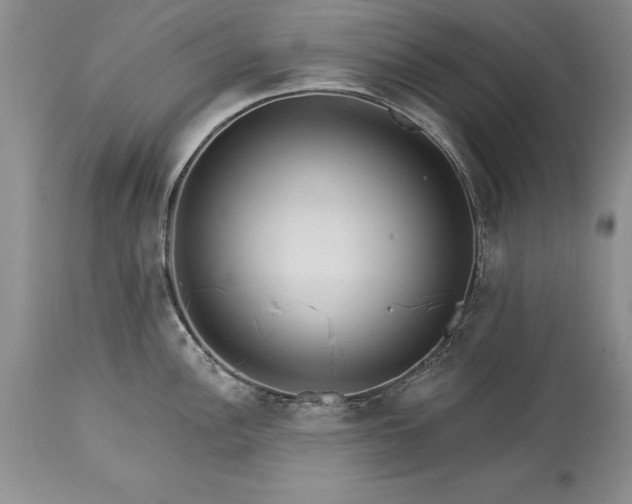 X0000113581148200910021646