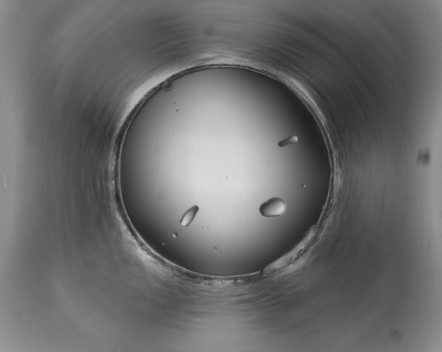 X0000113581149200910021646