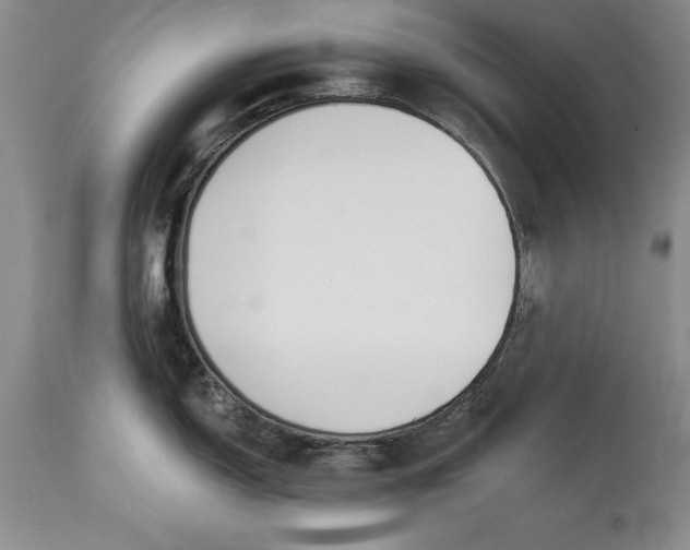 X0000113581150200910021646