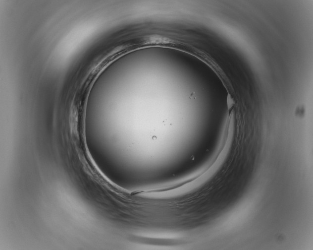 X0000113581151200910021646