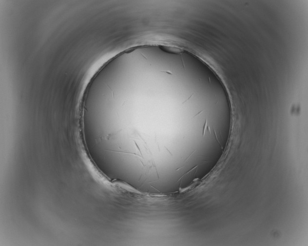 X0000113581152200910021646