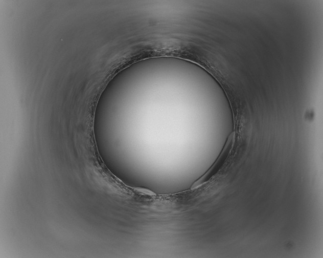 X0000113581153200910021645