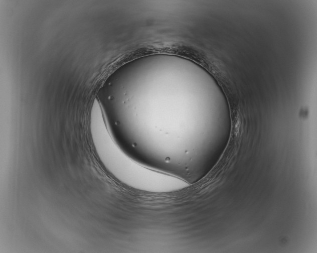 X0000113581156200910021645