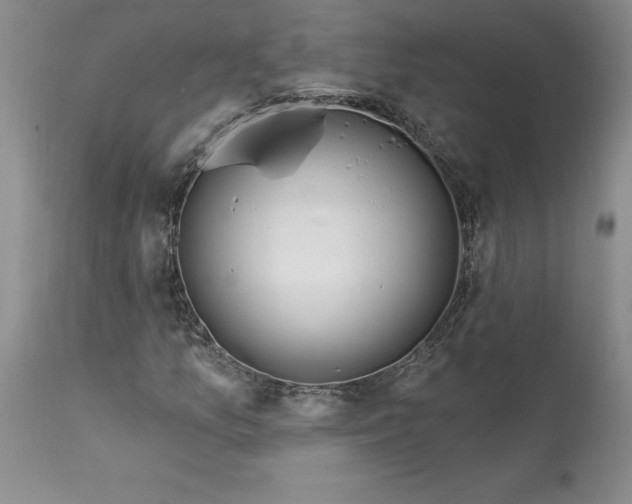 X0000113581157200910021645