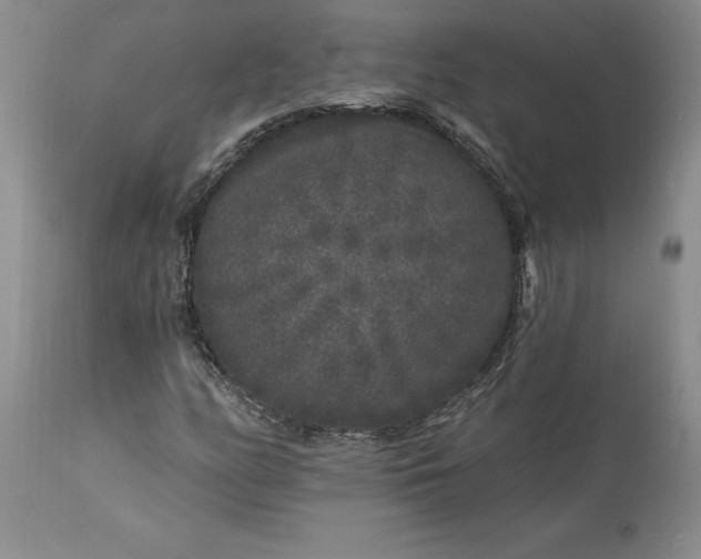 X0000113581158200910021645