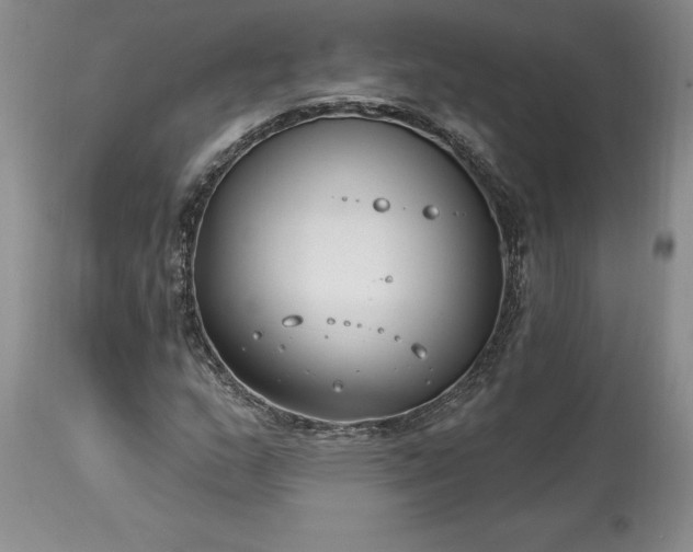 X0000113581159200910021645