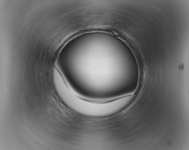 X0000113581161200910021645