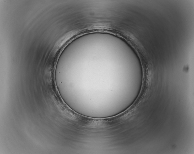 X0000113581162200910021645