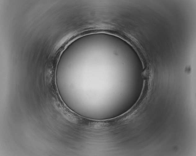 X0000113581163200910021645