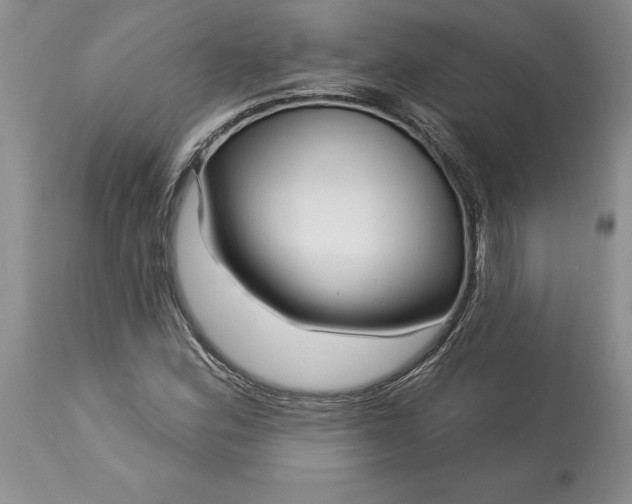 X0000113581164200910021645