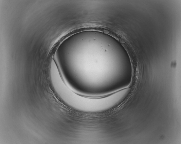 X0000113581165200910021645