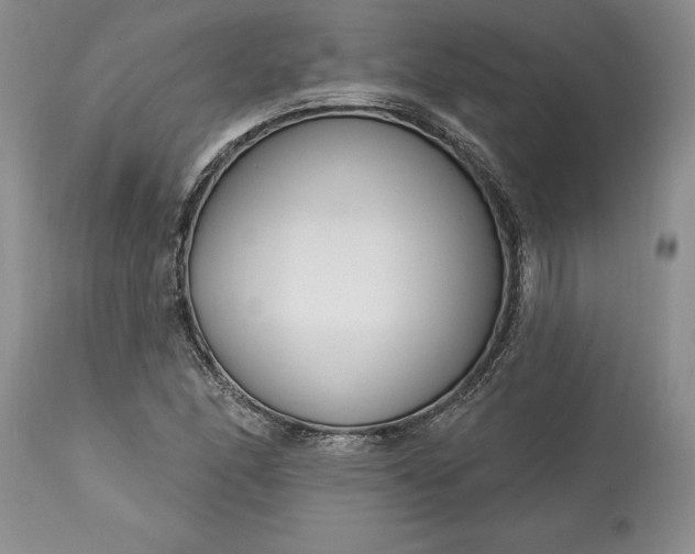 X0000113581166200910021645