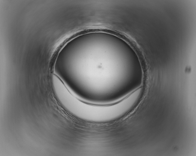 X0000113581167200910021645