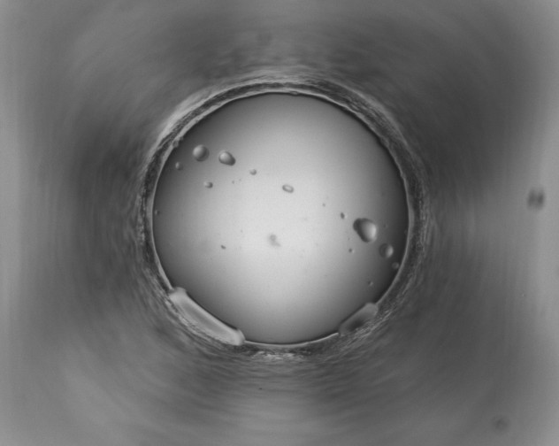 X0000113581168200910021645