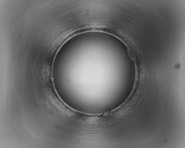 X0000113581169200910021645