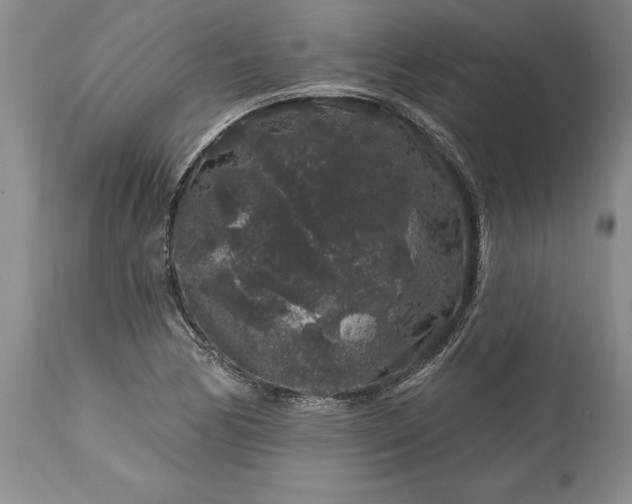 X0000113581170200910021645