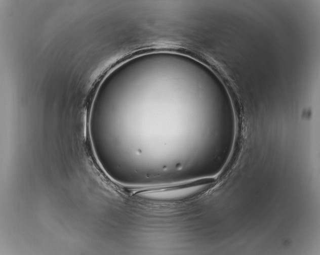 X0000113581171200910021645