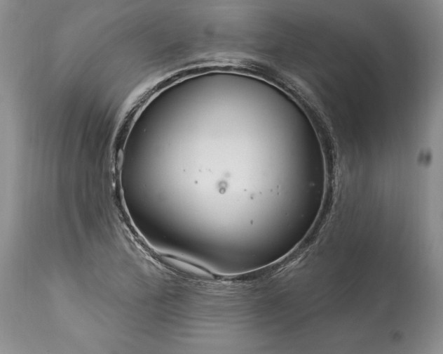 X0000113581172200910021645