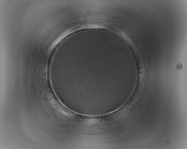 X0000113581173200910021645