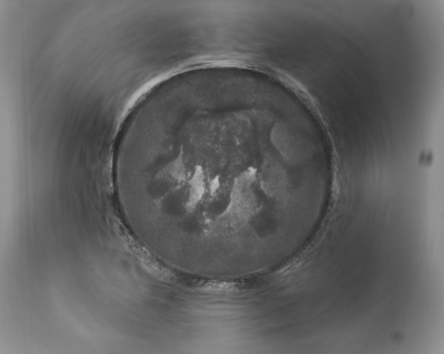 X0000113581174200910021645