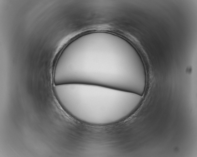 X0000113581176200910021645