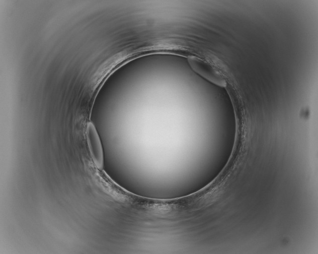 X0000113581177200910021645