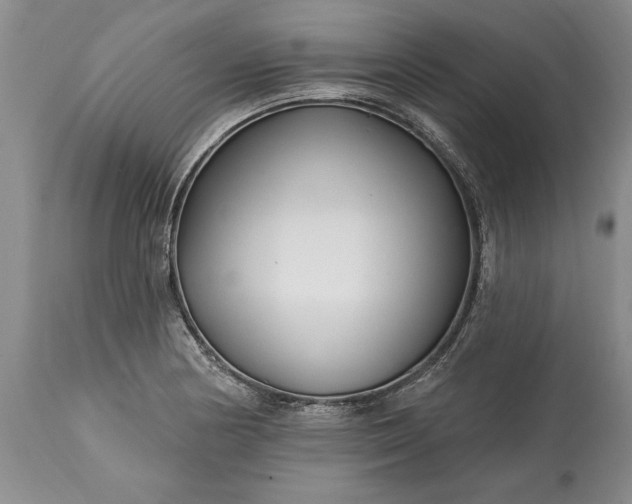 X0000113581178200910021645