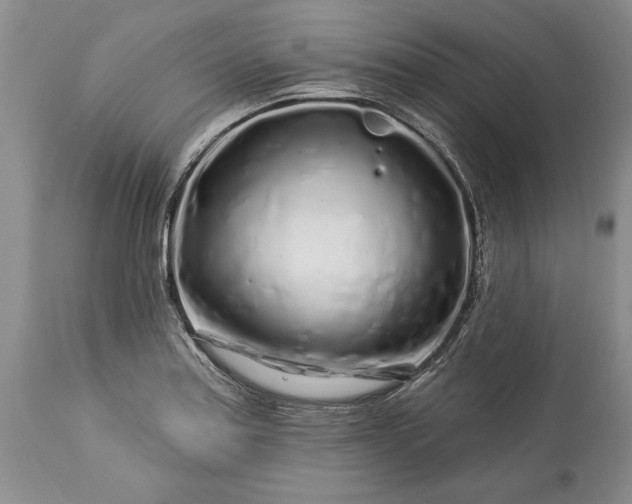 X0000113581179200910021645