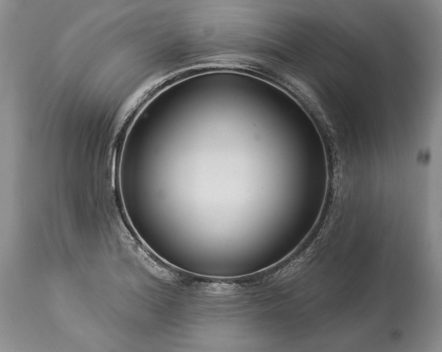 X0000113581180200910021645