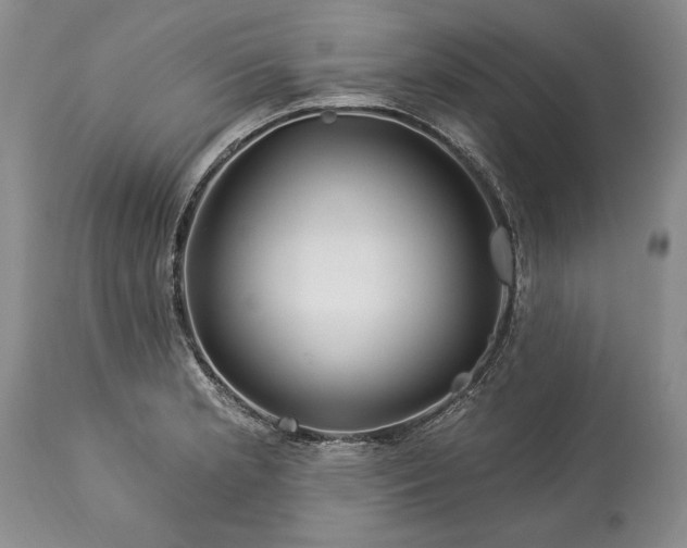 X0000113581181200910021645