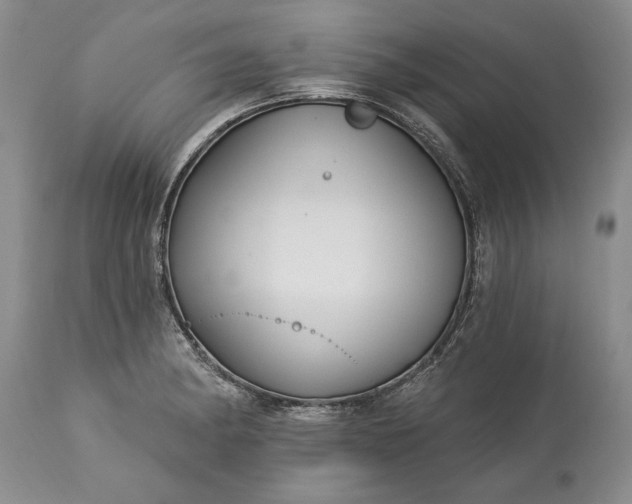 X0000113581182200910021645