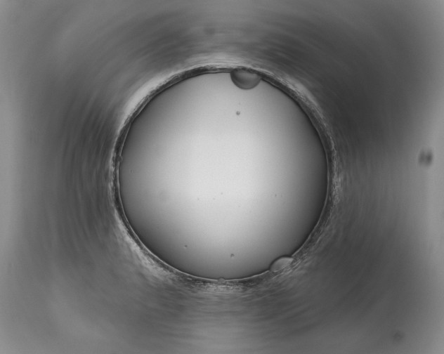 X0000113581183200910021645