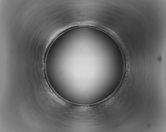 X0000113581184200910021645