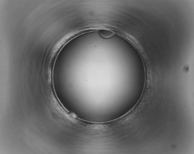 X0000113581188200910021645