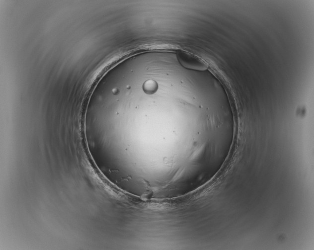 X0000113581189200910021645