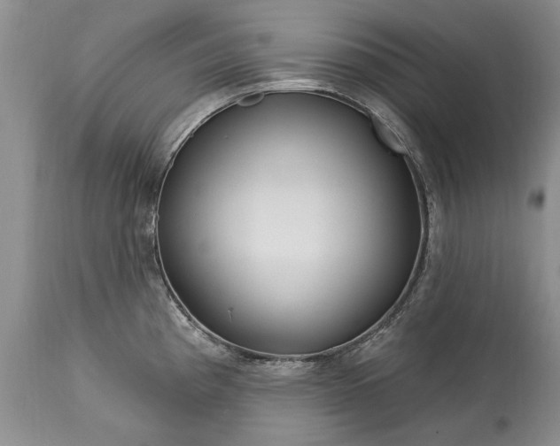 X0000113581193200910021645