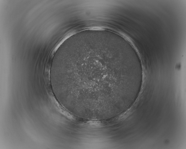 X0000113581194200910021645