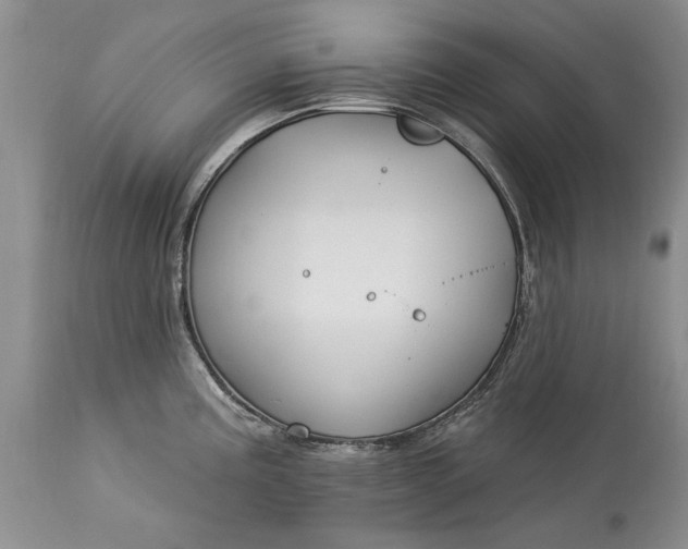 X0000113581195200910021645