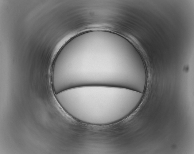 X0000113581196200910021645