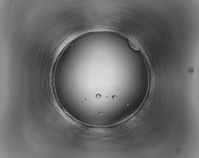 X0000113581197200910021645