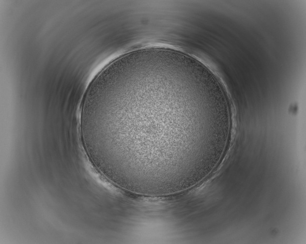 X0000113581198200910021645