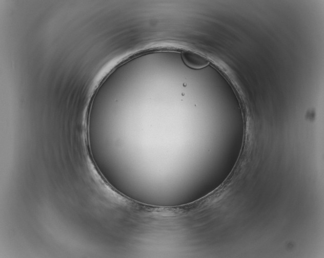 X0000113581199200910021645