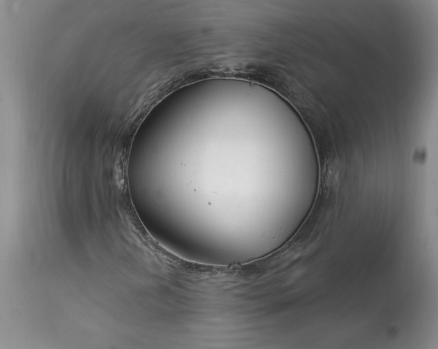 X0000113581202200910021644