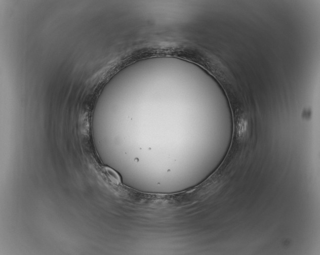 X0000113581204200910021644