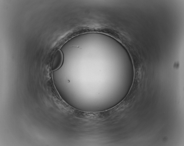 X0000113581205200910021644