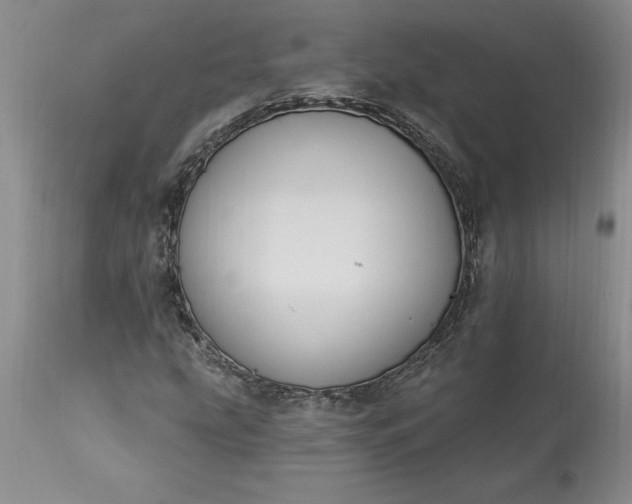 X0000113581207200910021644