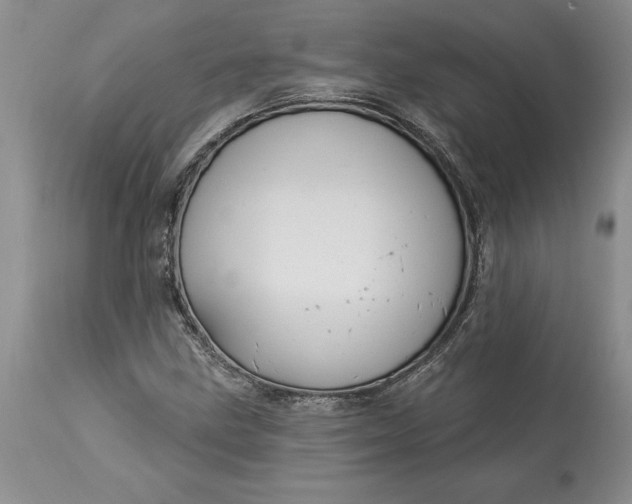 X0000113581211200910021644