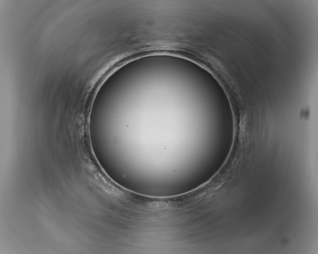 X0000113581212200910021644